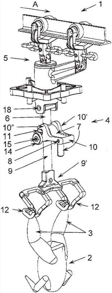 Conveyor line and carrier for poultry used in said conveyor line