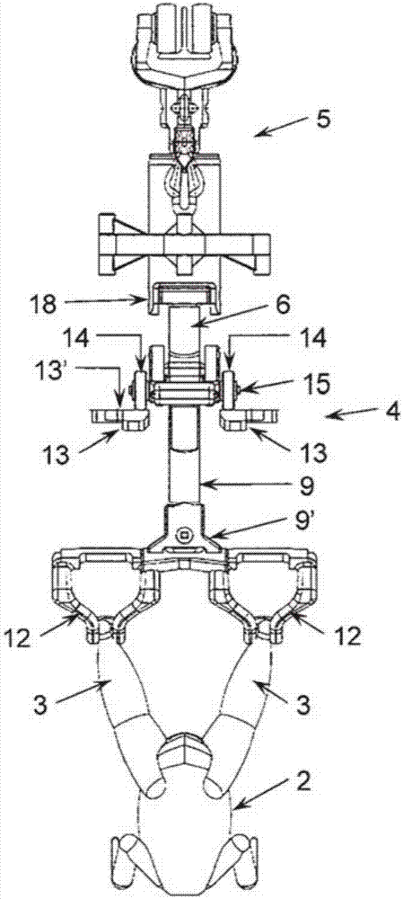 Conveyor line and carrier for poultry used in said conveyor line