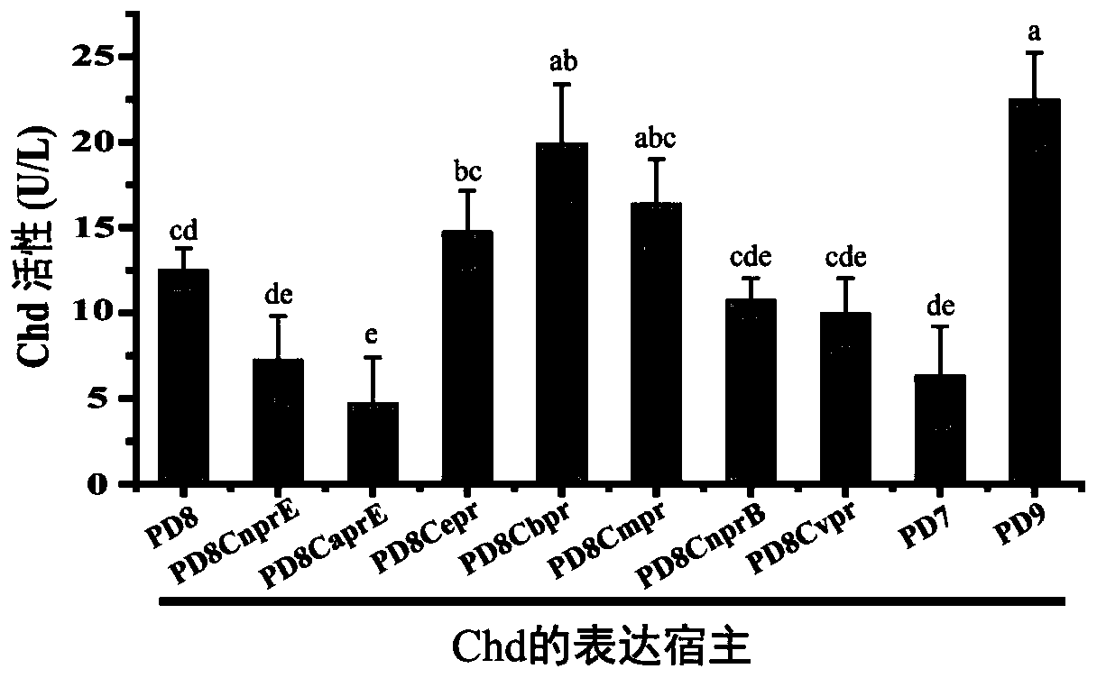 Method for cooperatively establishing optimal bacillus subtilis protease deletion expression host for target protein