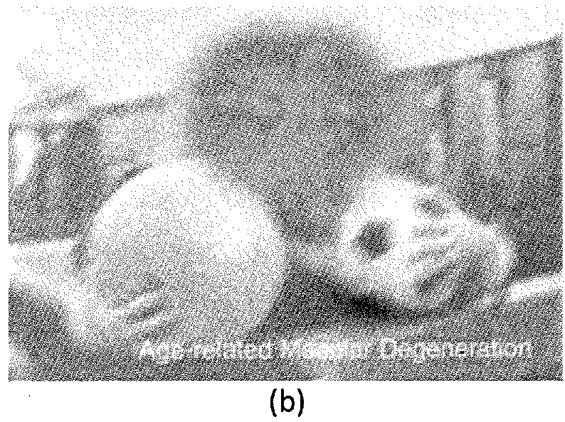 Methods and systems for assessing retinal images, and obtaining information from retinal images