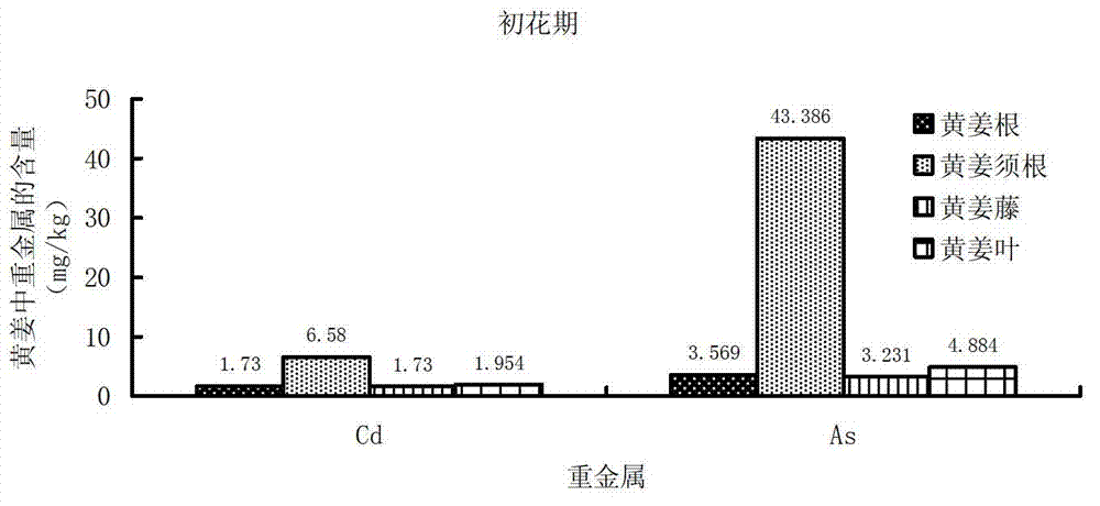 Method of repairing heavy metal contaminated soil by utilizing turmeric