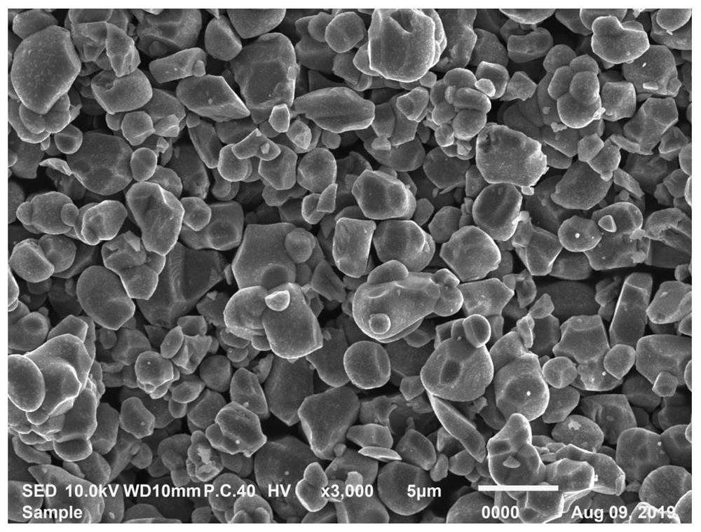 Modification method of single-crystal ternary positive electrode material