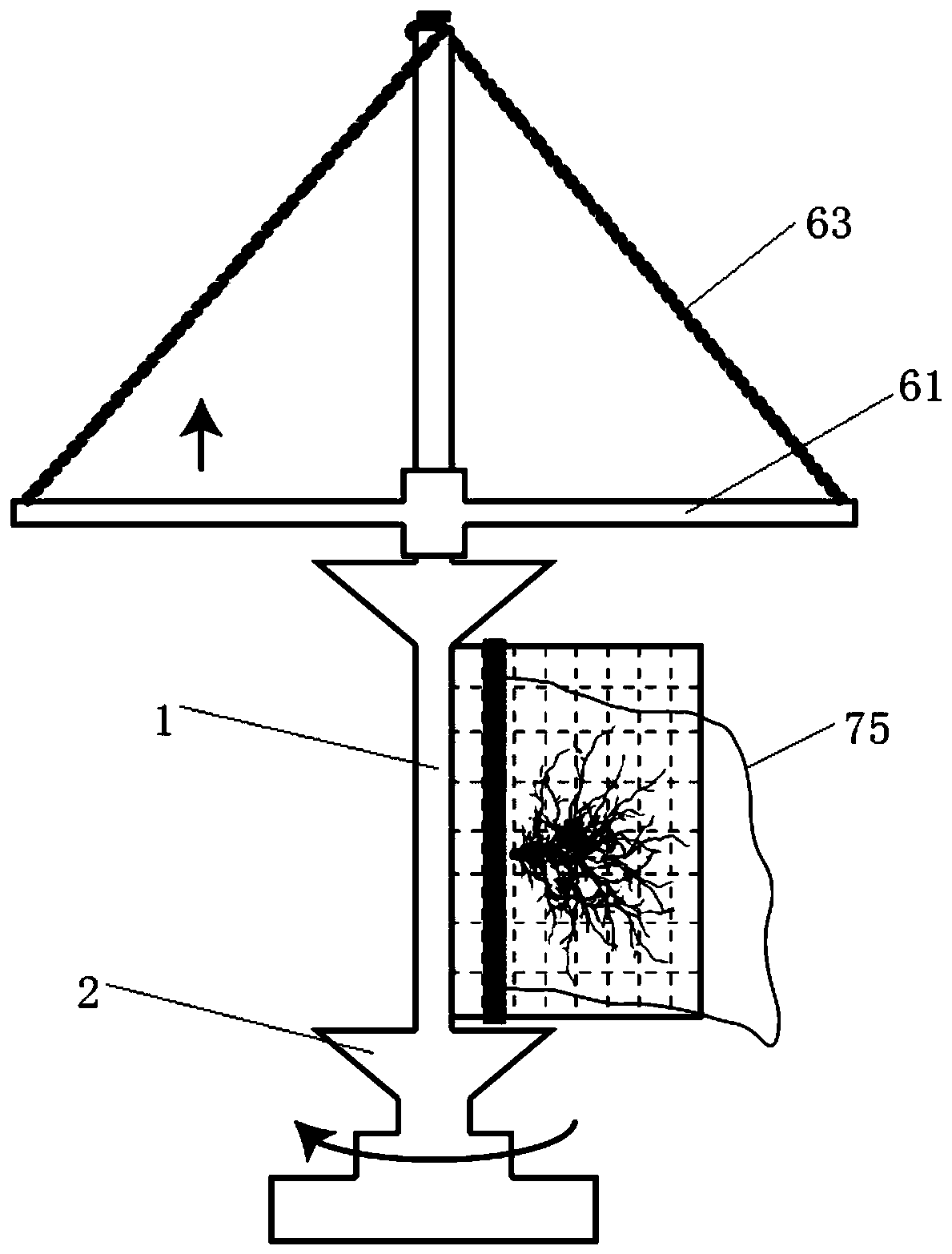 Rapid separation device and separation method for plant root system tissues and attached soil samples