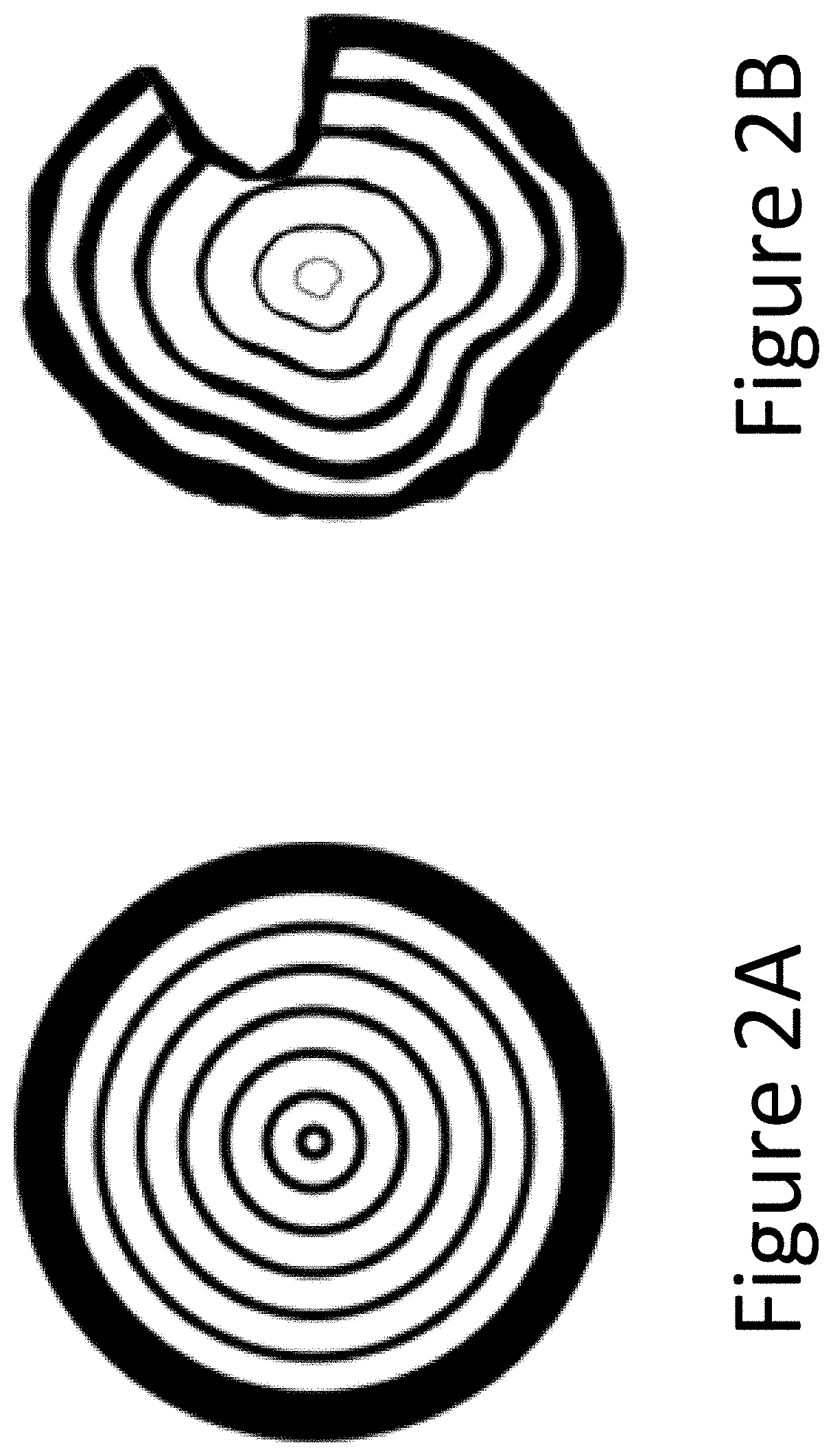 Forestry management tool for assessing risk of catastrophic tree failure due to weather events