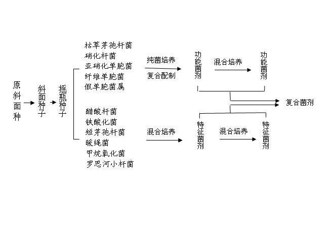 Composite fungicide for rapid degradation of organic waste and applications thereof