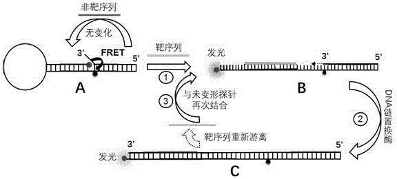 Kit for directly performing semi-quantitative detection on microRNA675 (micro Ribonucleic Acid 675)