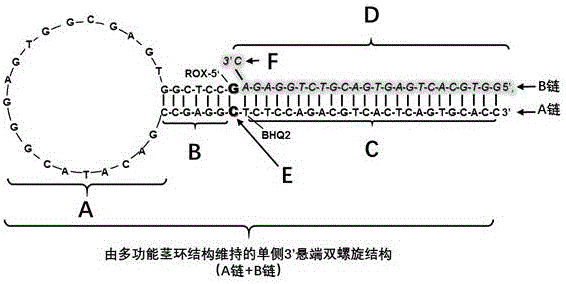 Kit for directly performing semi-quantitative detection on microRNA675 (micro Ribonucleic Acid 675)