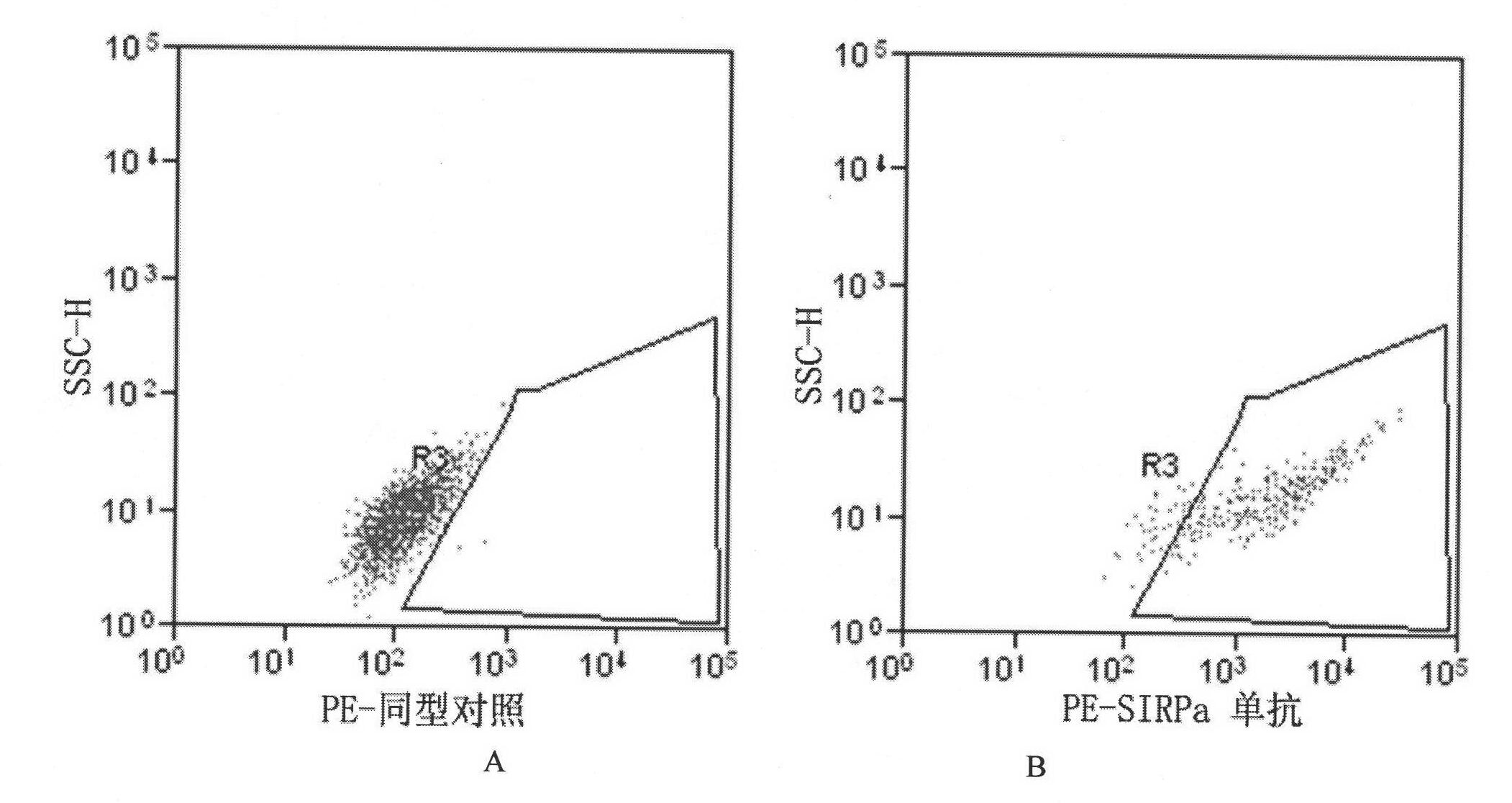 Monoclonal antibody of anti-human SIRPalpha, cell strain, preparation method and application thereof