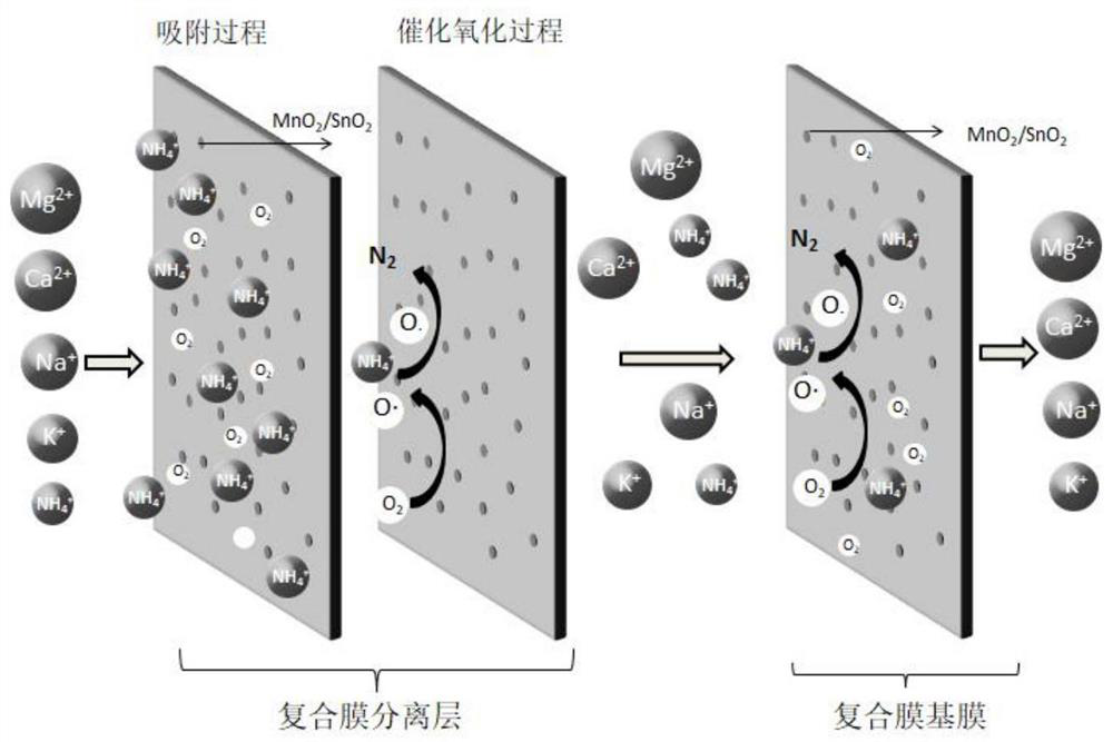 Ammonium removal ultrafiltration membrane for non-photoelectric response oxidation degradation of ammonia nitrogen, preparation method and application in sewage deammonization