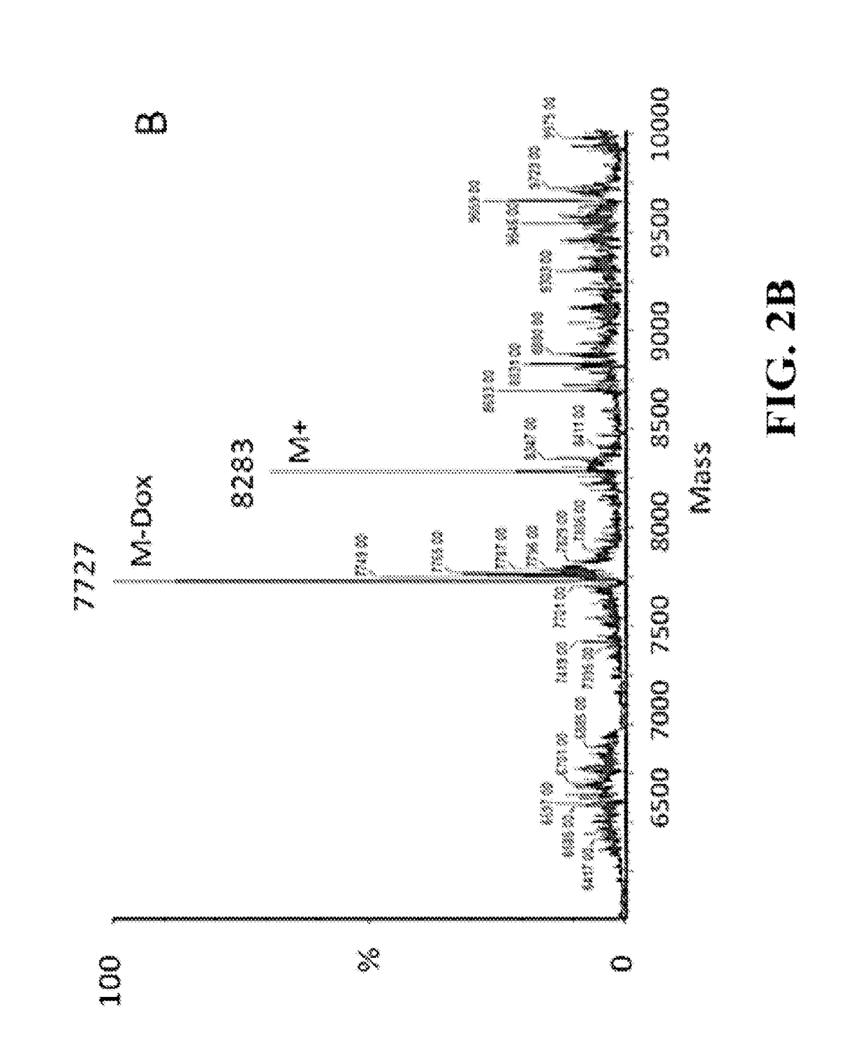 Site-Specific DNA-Doxorubicin Conjugates Display Enhanced Cytotoxicity to Breast Cancer Cells