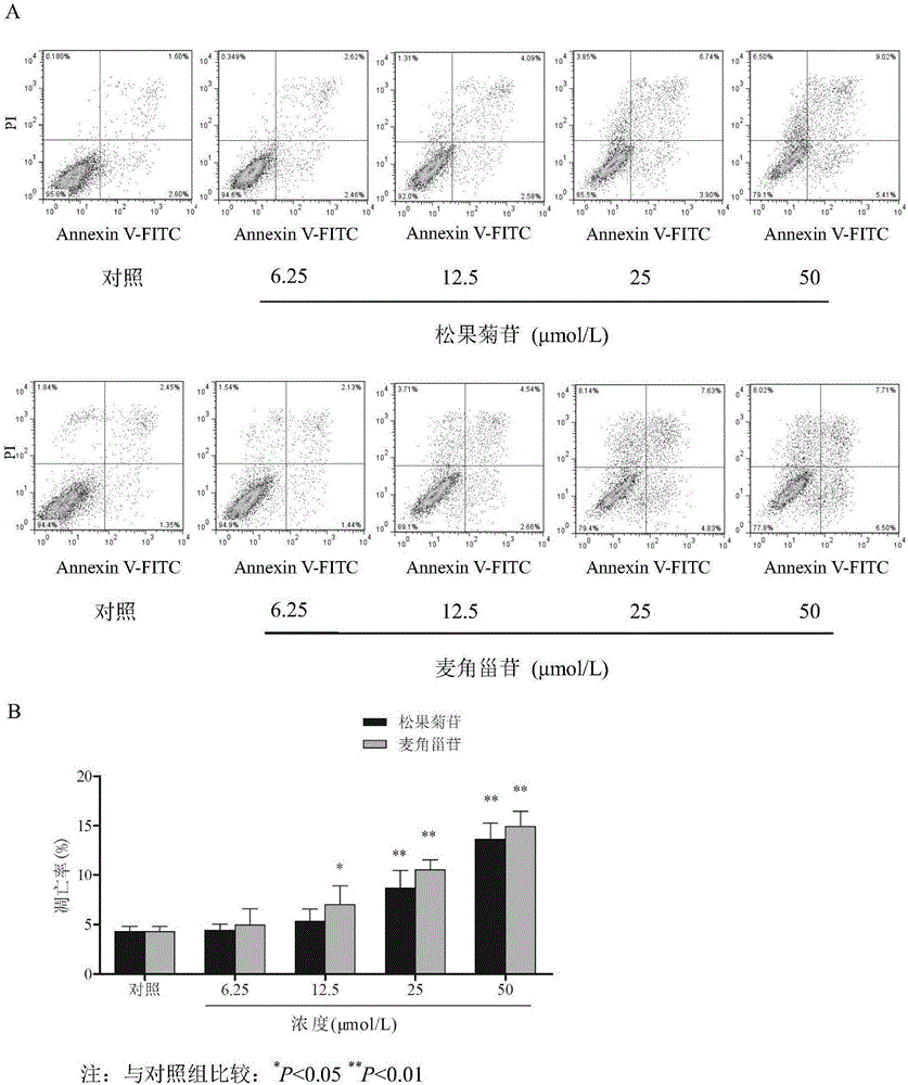 Novel application of echinacoside and acteoside