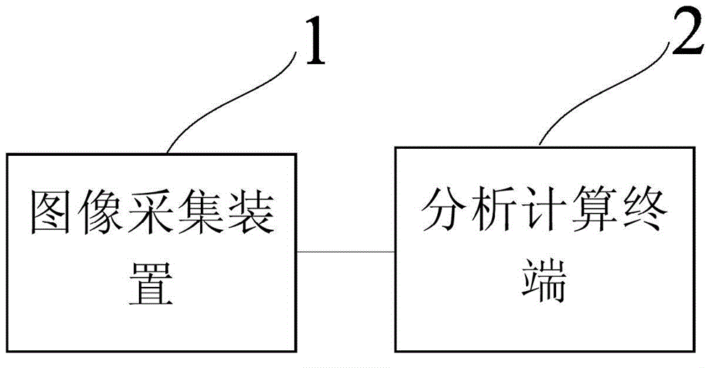 Aphid situation investigation method and device