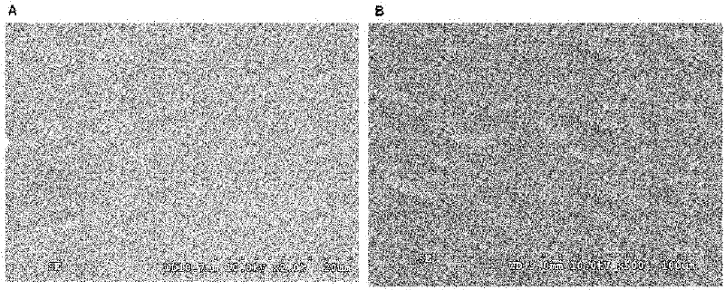 Perfluoro acid substance high-sensitivity detecting method assisted by organic proton alkali matrix