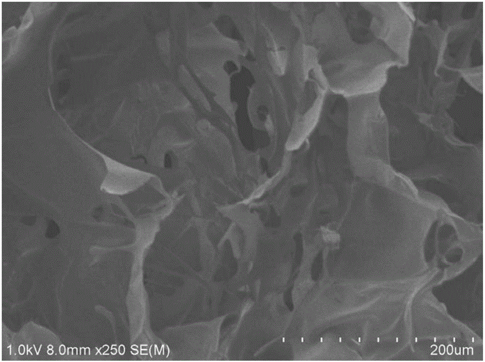 Preparation method of dermal tissue bionic porous scaffold