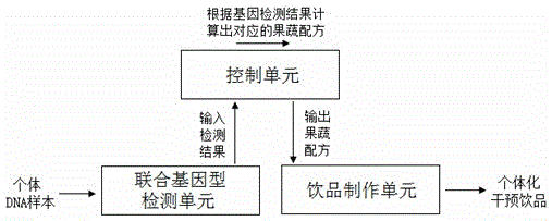 Method and system for preparing lipid metabolism type obese gene individualized intervention drink