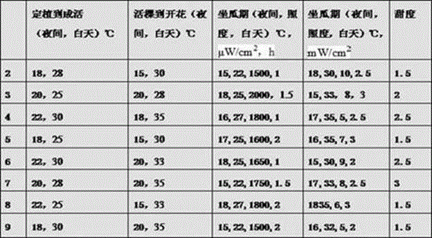 Soilless culture method for high-sugar Hami melons