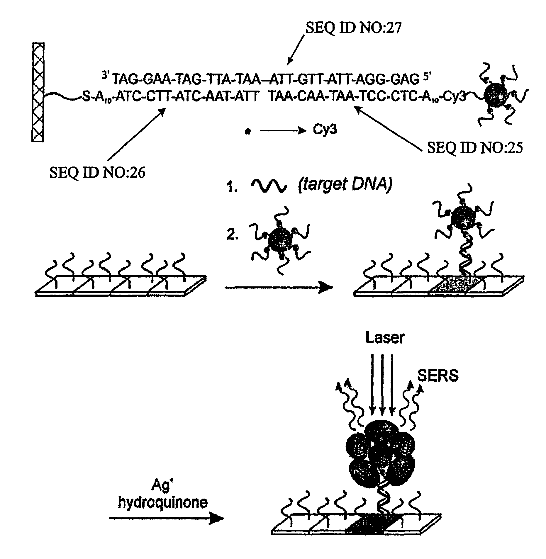 Nanoparticle probes with raman spectroscopic fingerprints for analyte detection