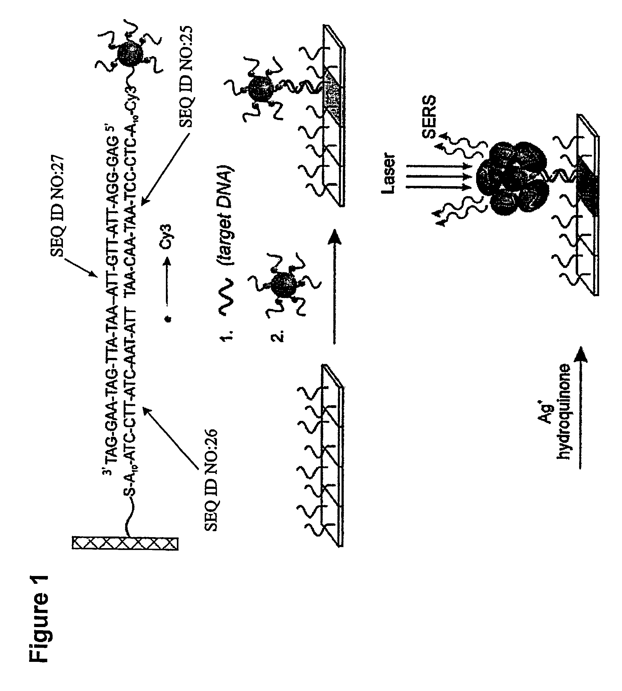 Nanoparticle probes with raman spectroscopic fingerprints for analyte detection