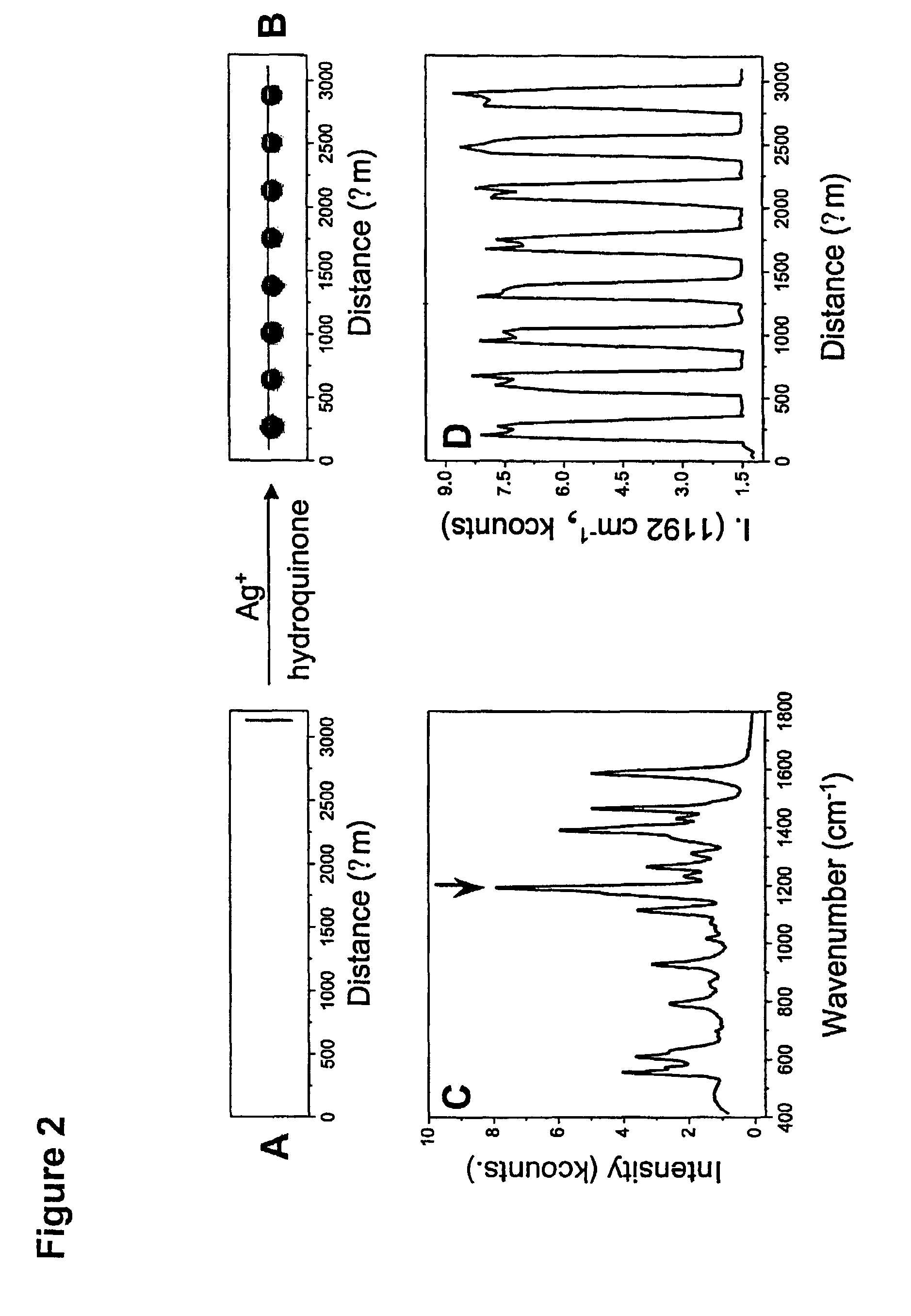 Nanoparticle probes with raman spectroscopic fingerprints for analyte detection