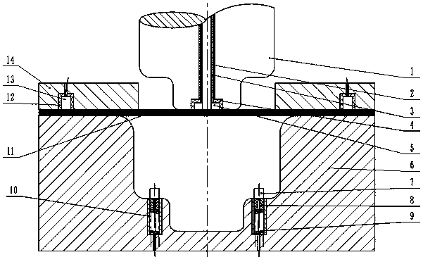 Electric field auxiliary deep drawing device for stepped part