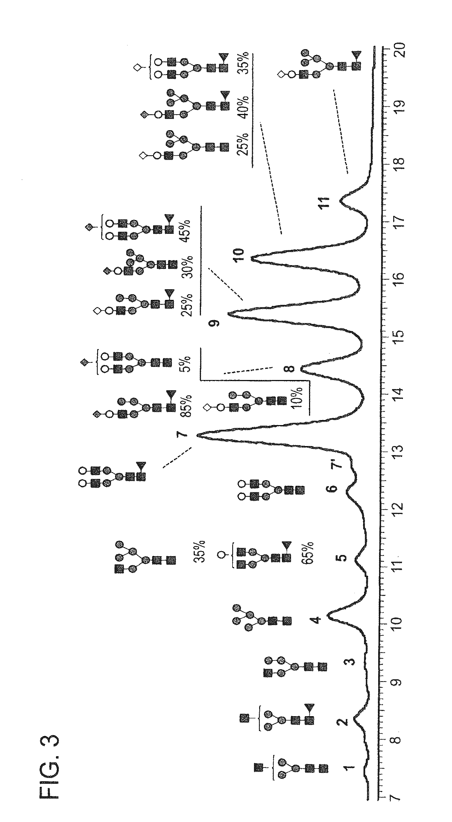 Highly galactosylated Anti-tnf-alpha antibodies and uses thereof