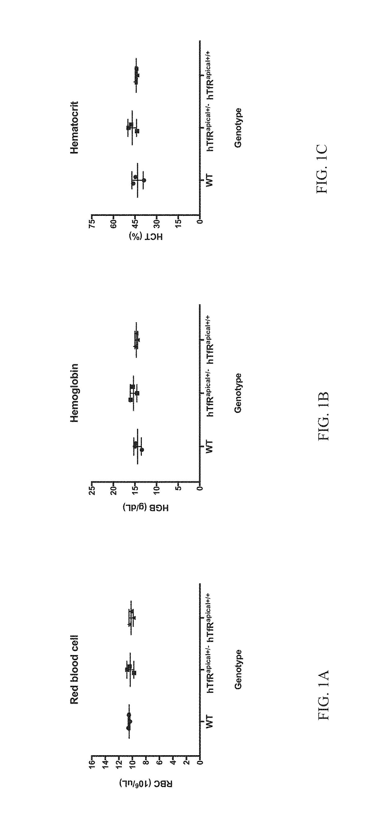 Transferrin receptor transgenic models