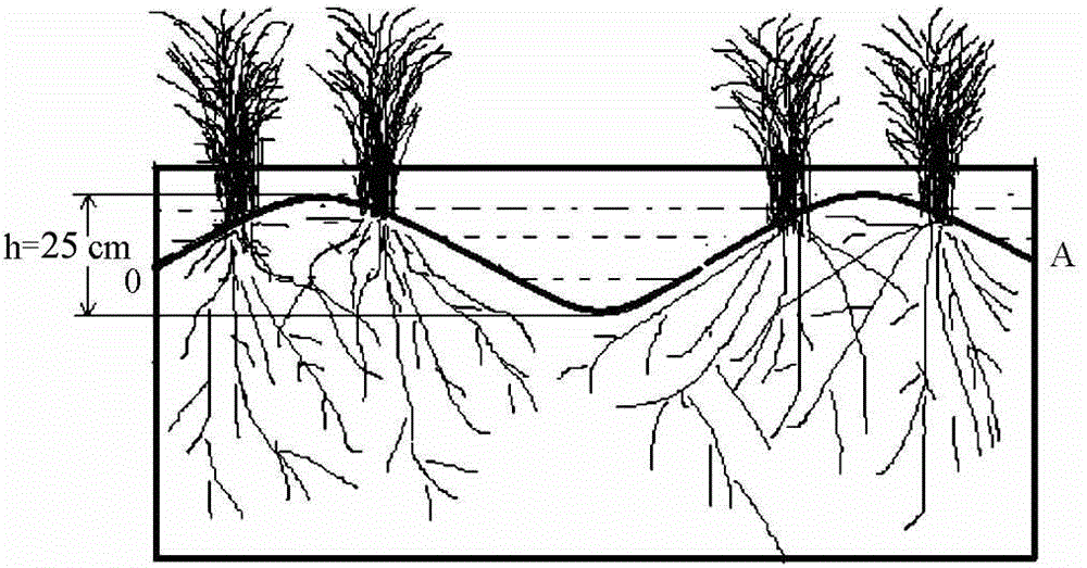 Method for preventing and treating agricultural non-point source pollution for rice field ridge culture in Three Gorges Reservoir Region small watershed