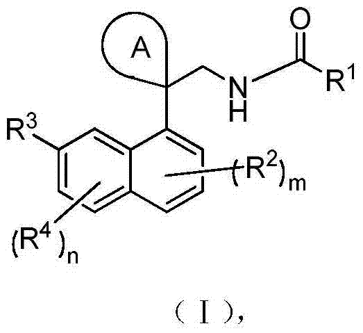 Naphthalene derivative and application thereof in drugs