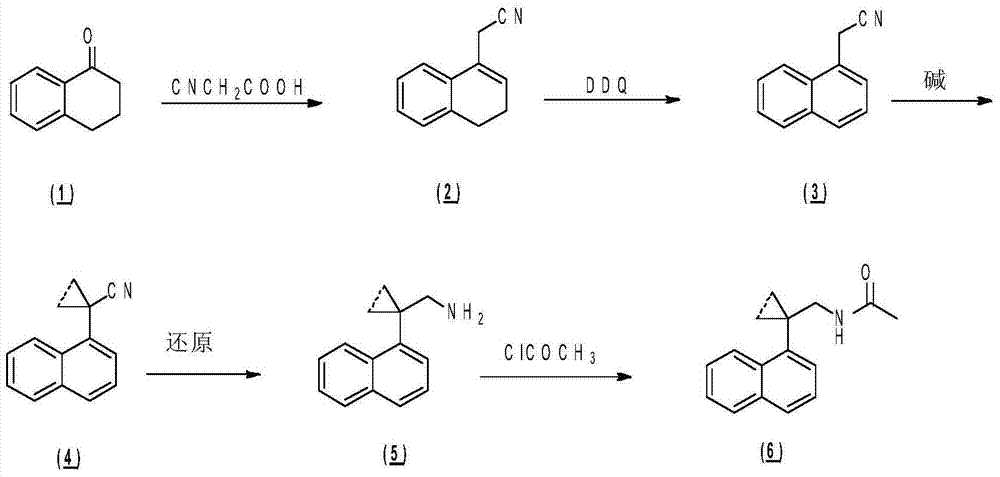 Naphthalene derivative and application thereof in drugs