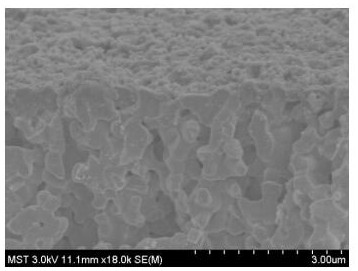 Preparation method of plasma separation membrane