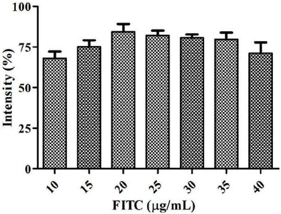 Melon bacterial fruit blotch germs immunofluorescent quick detection test paper and application thereof