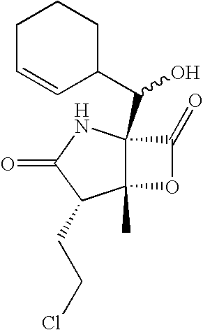 Marine actinomycete taxon for drug and fermentation product discovery