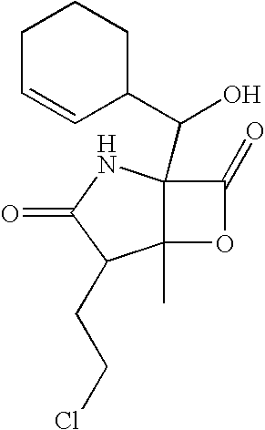 Marine actinomycete taxon for drug and fermentation product discovery