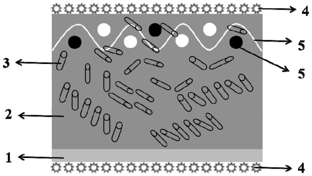 High-strength low-tank-pressure perfluorinated ion exchange membrane for chlor-alkali industry and preparation method of perfluorinated ion exchange membrane