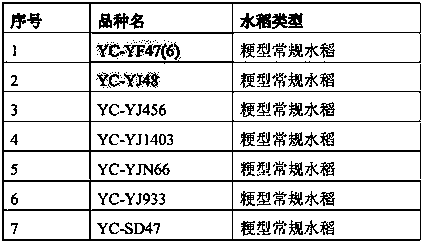 Method for planting rice in desertified soil