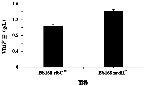 Ribonucleoside reductase transcription inhibition factor mutant, mutation gene and application of ribonucleoside reductase transcription inhibition factor mutant and mutation gene to preparation of vitamin B2