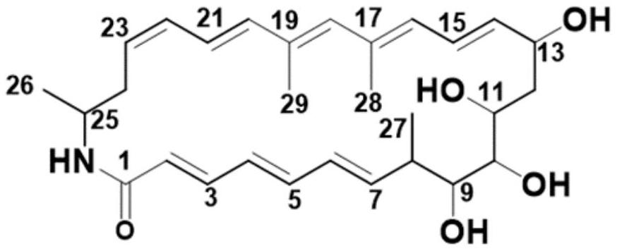 A method for efficiently fermenting and producing macrolide compound fw05328-1