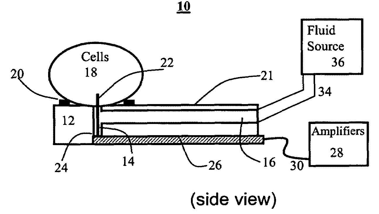 System for and method of positioning cells and determining cellular activity thereof