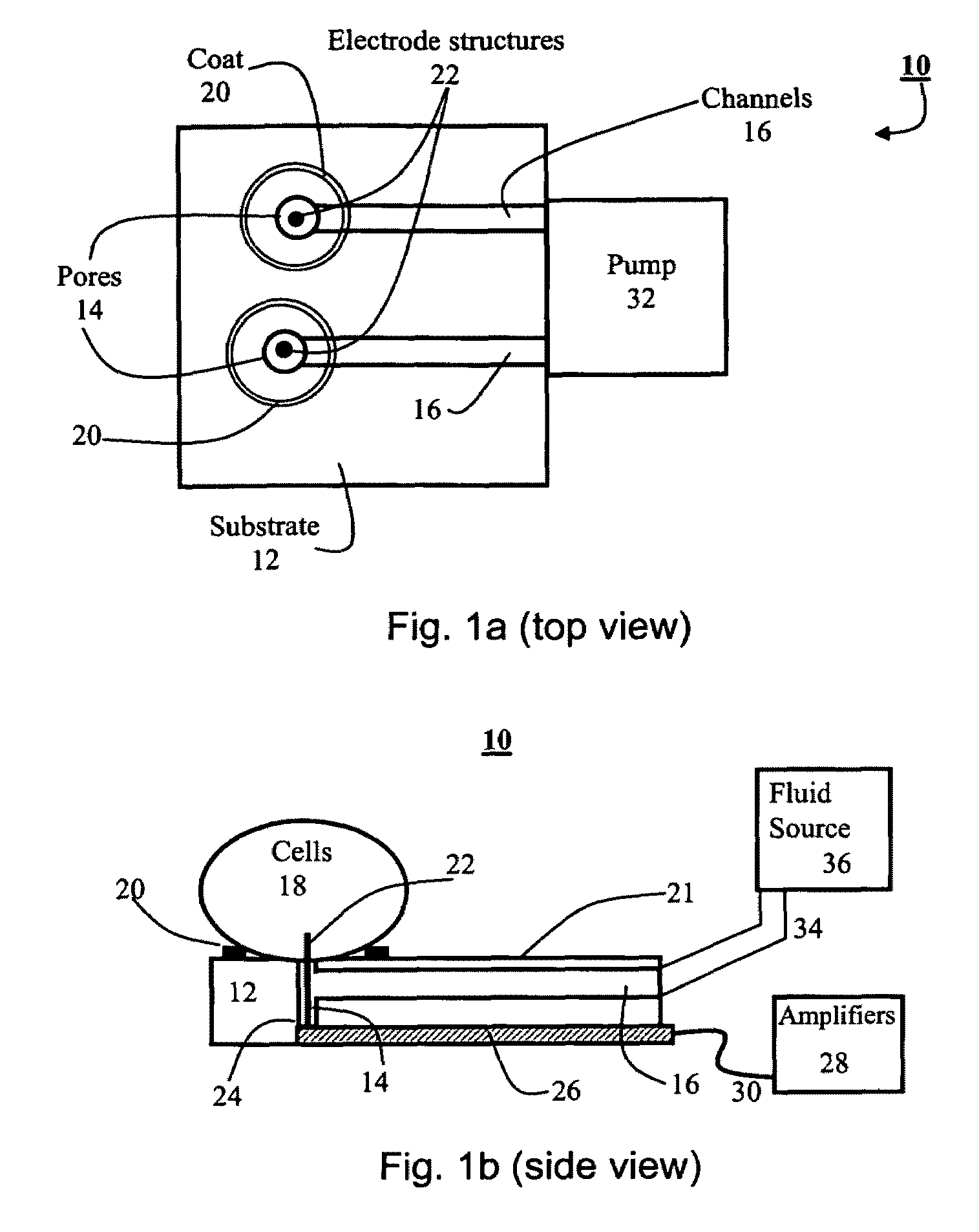 System for and method of positioning cells and determining cellular activity thereof