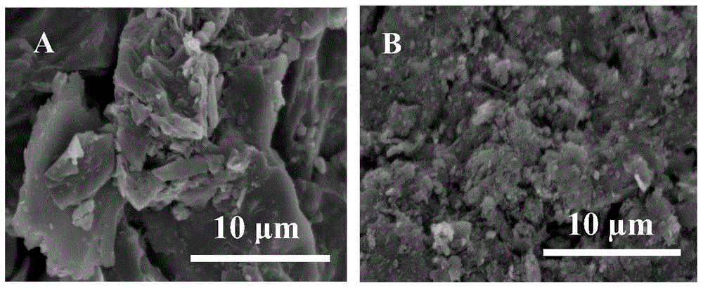 Preparation method and application of a sludge carbon plate electrode