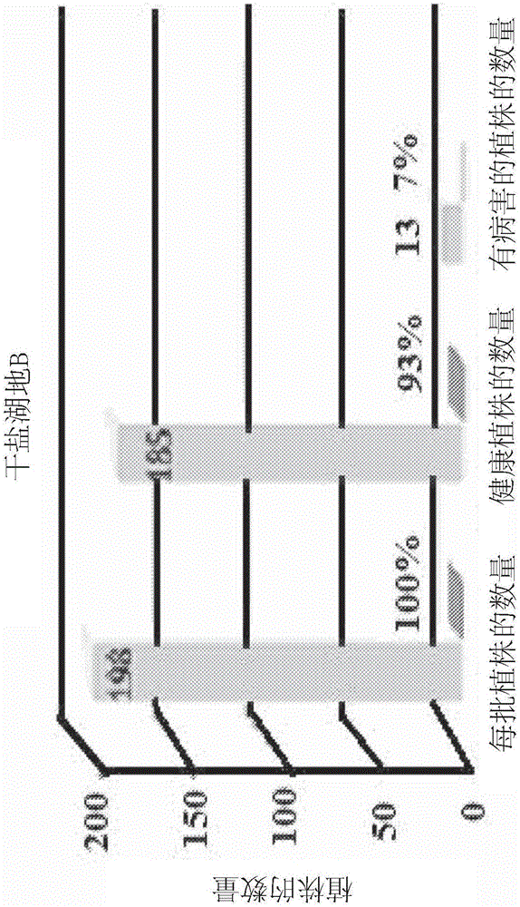 Bio-derived compositions for use in agriculture