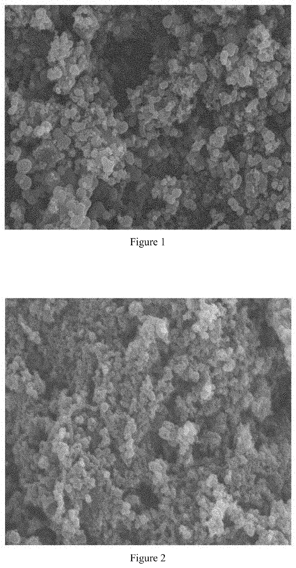 Solid dispersion and preparation method therefor