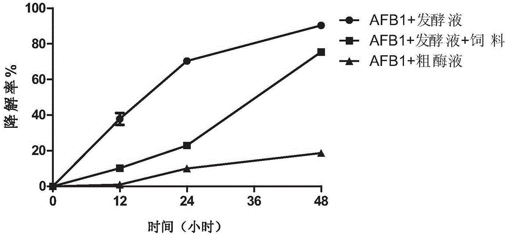 Solimonas capable of efficiently degrading aflatoxin B1 and application thereof