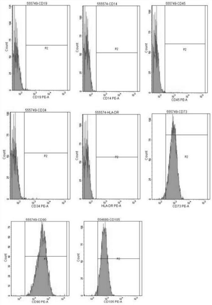 Method for inducing neural stem cells to differentiate into neurons and astrocytes by umbilical cord mesenchymal stem cells