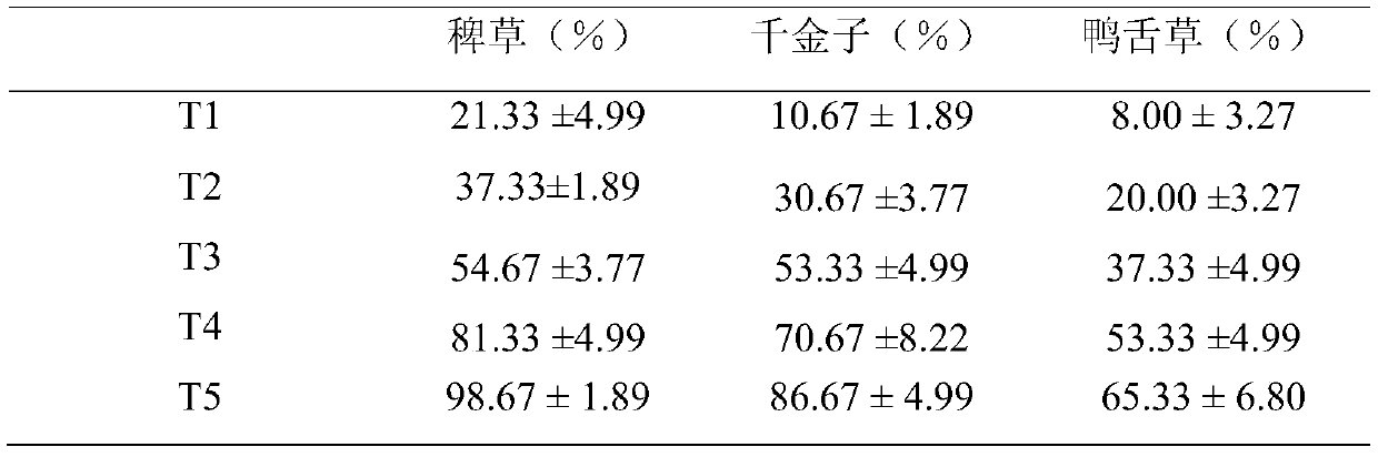 Applications of fulvic acid and fulvic acid salt in transplanting rice field weed prevention and control, and rice field yield increasing