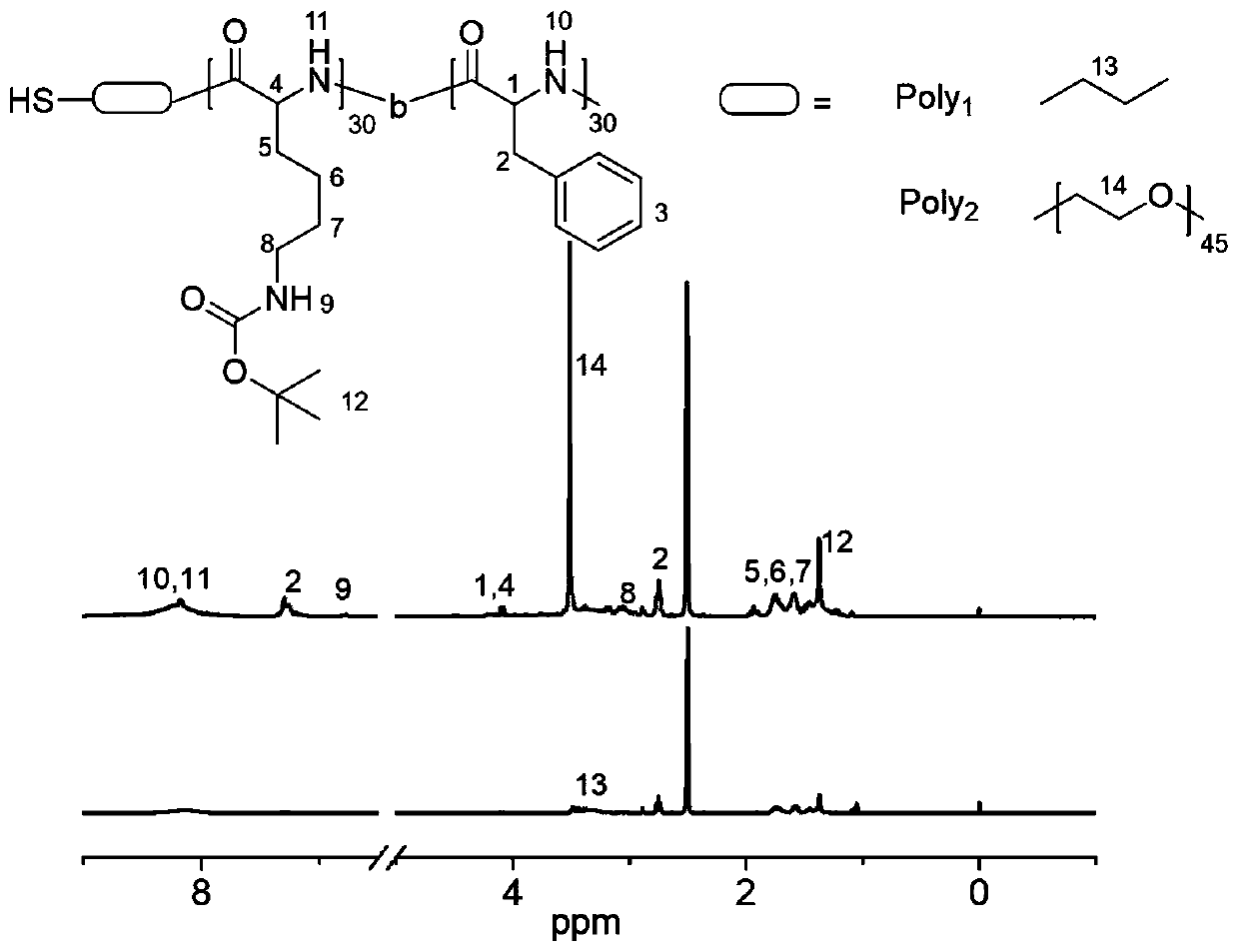 Poly(phthalazinone ether nitrile) having antibacterial properties, and surface modification method of poly(phthalazinone ether nitrile) having antibacterial properties