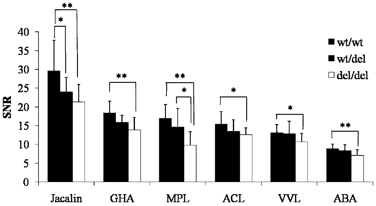 Lectin composition for detecting male fertility and kit of lectin composition