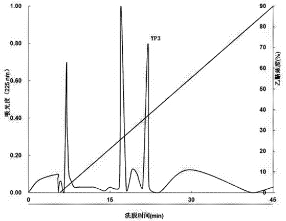 Antifreeze polypeptide for protecting bacteria from low temperature freeze-thawing damage and preparation method thereof