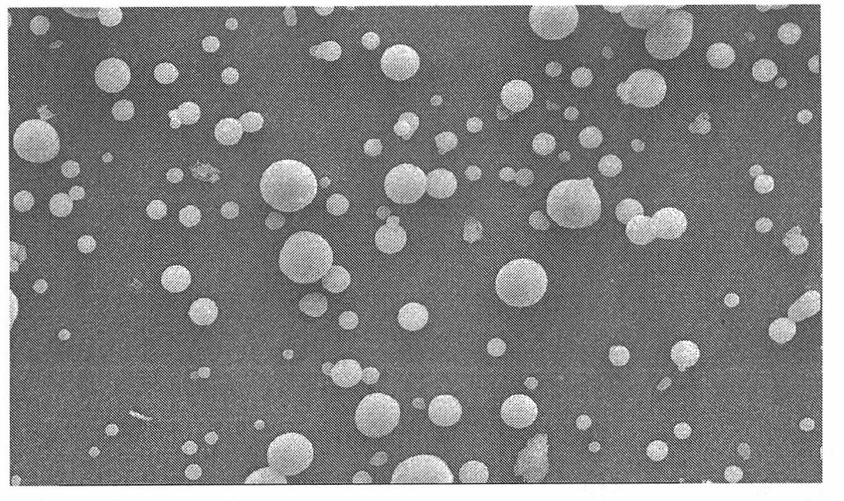 Preparation method of capsicine micro spheres