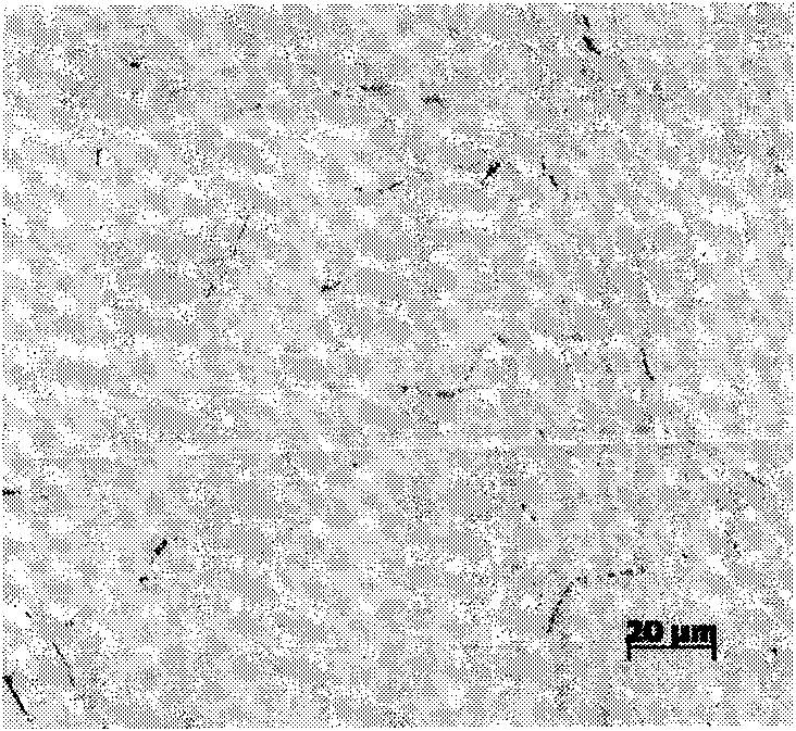 Process for homogenizing aluminum alloy